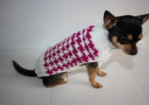 Houndstooth small dog sweater knit in fresh modern colors. You know your pet wants one in every color, right?! 